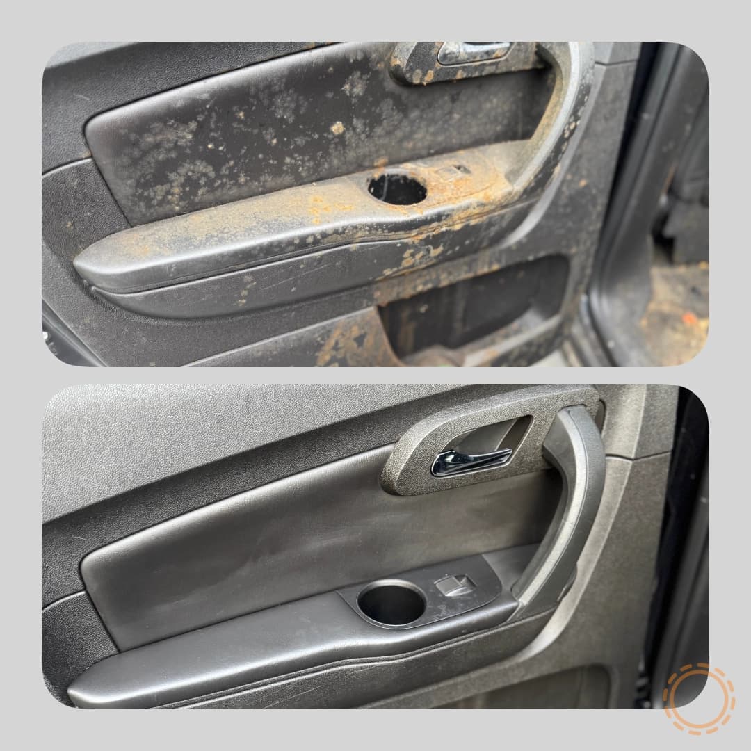 Interior Mold Remediation in Reidsville